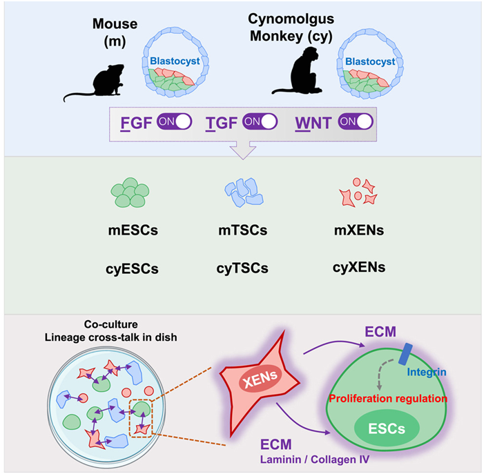 news-704-687 news-704-687