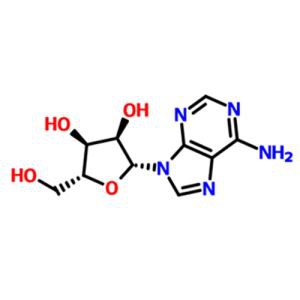 Adenozin CAS NO.58-61-7
