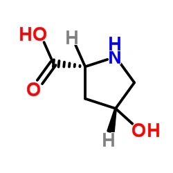 Cis-4-hidroksi-D-prolin ŠT. CAS.2584-71-6